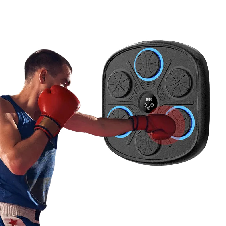 Music Boxing Target Training Wall Target Fitness Equipment
